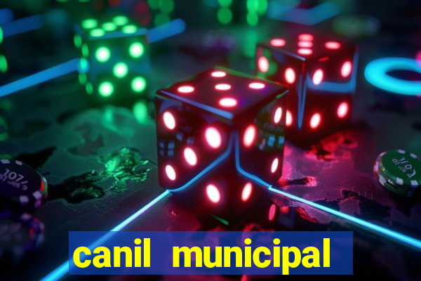 canil municipal porto alegre